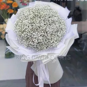 Bouquet of Baby's Breath