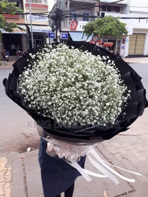 Bouquet of Baby's Breath