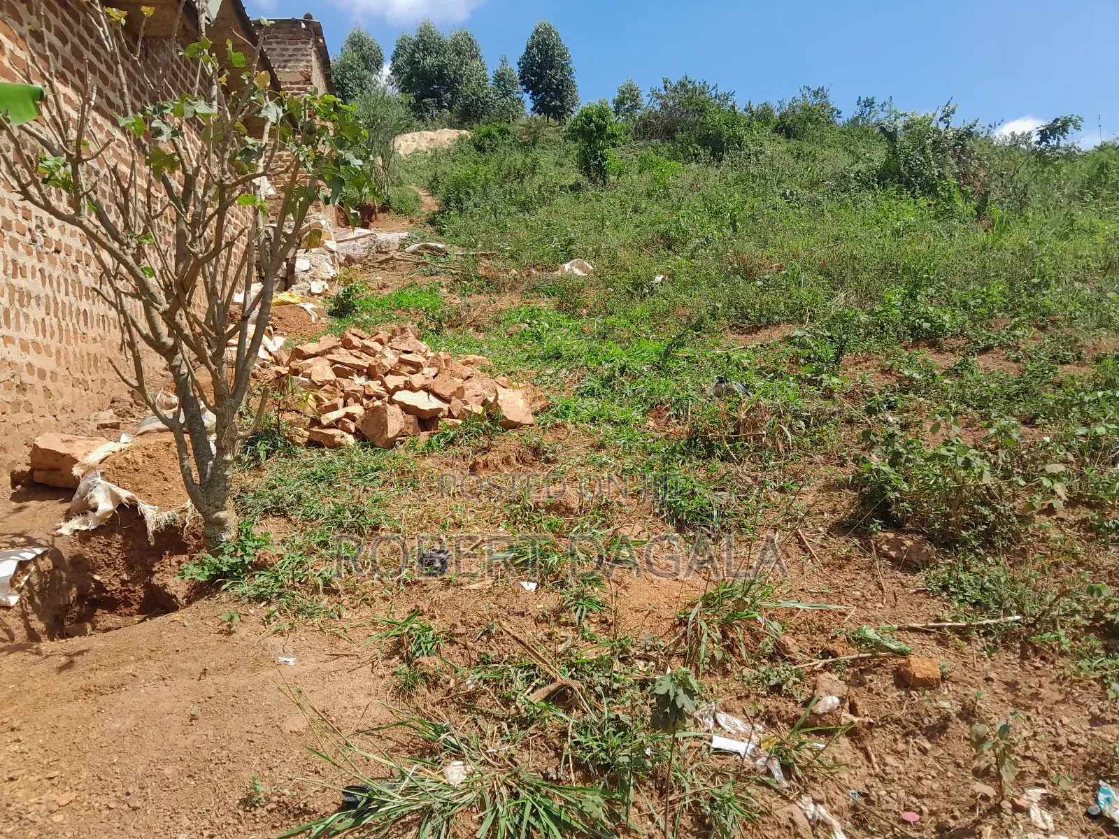 Plot for Sale in Buwekula With Title