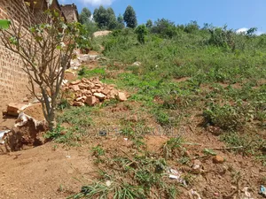 Plot for Sale in Buwekula With Title