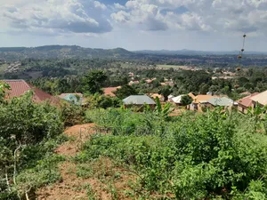 Plot for Sale in Buwekula With Title
