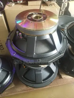 Big Magnet Woofer 125
