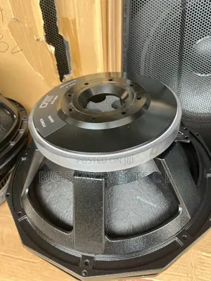 Big Magnet Woofer 125