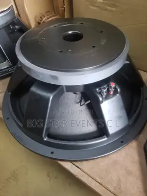 Big Magnet Woofer 125