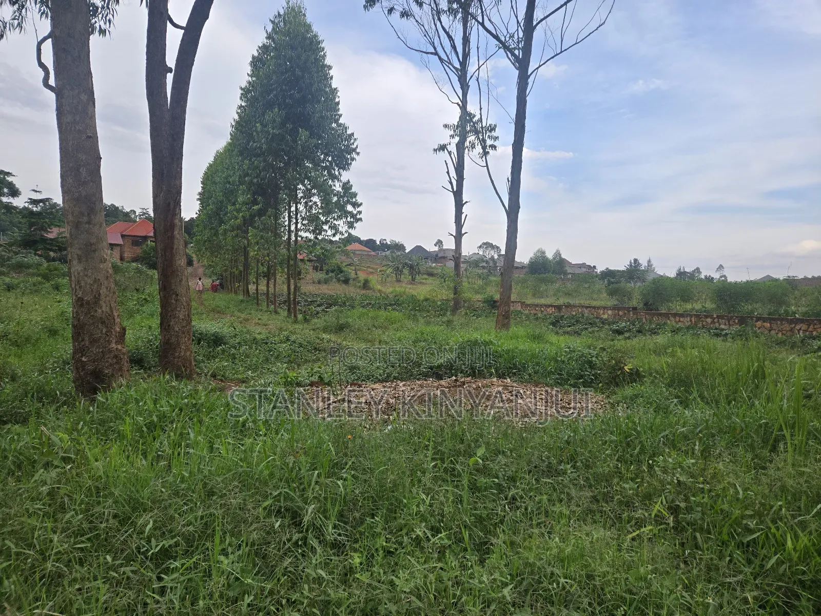 Land 2 Acres Located at Matuga