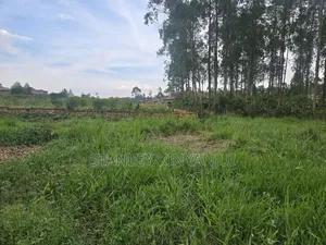 Land 2 Acres Located at Matuga
