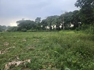Land 2 Acres Located at Matuga