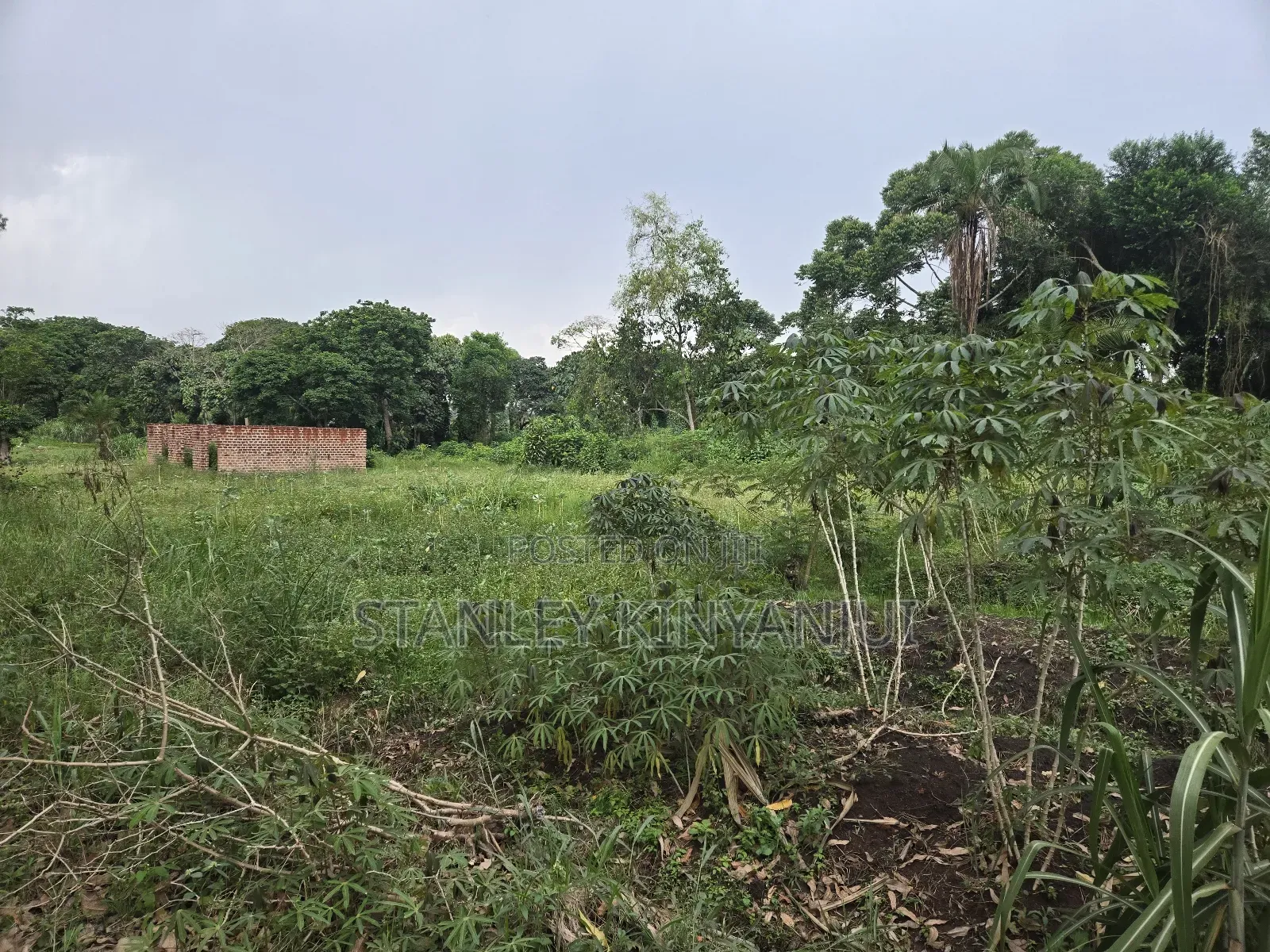 Land 2 Acres Located at Matuga