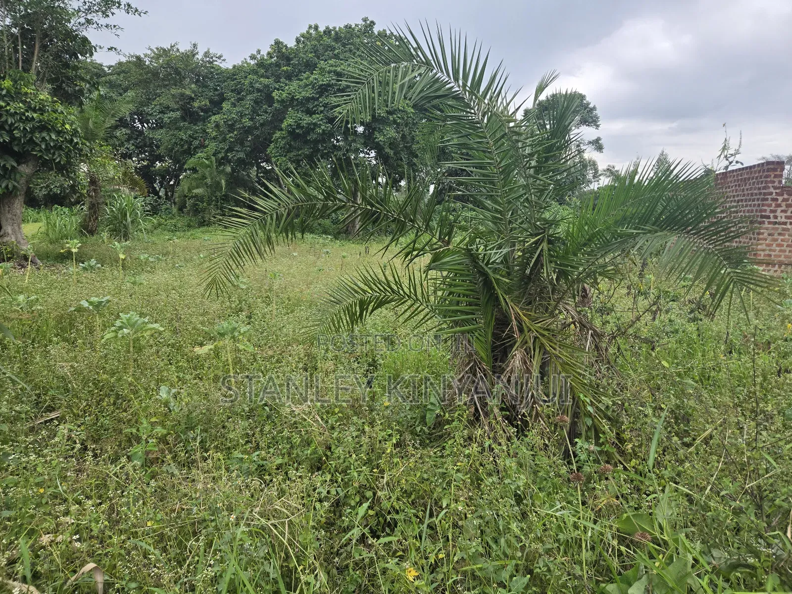 Land 2 Acres Located at Matuga