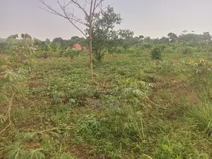 Private Milo Land Kabembe Mukono 1.5km Off Road Title Available