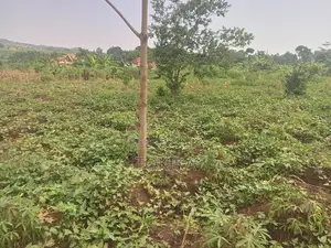 Private Milo Land Kabembe Mukono 1.5km Off Road Title Available