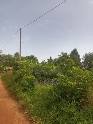 Private Milo Land Kabembe Mukono 1.5km Off Road Title Available