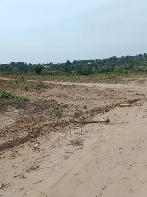 Gobero Lutisi Titled Land 50*100ft