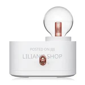 3 In1 Night Light Humidifier With Lamp