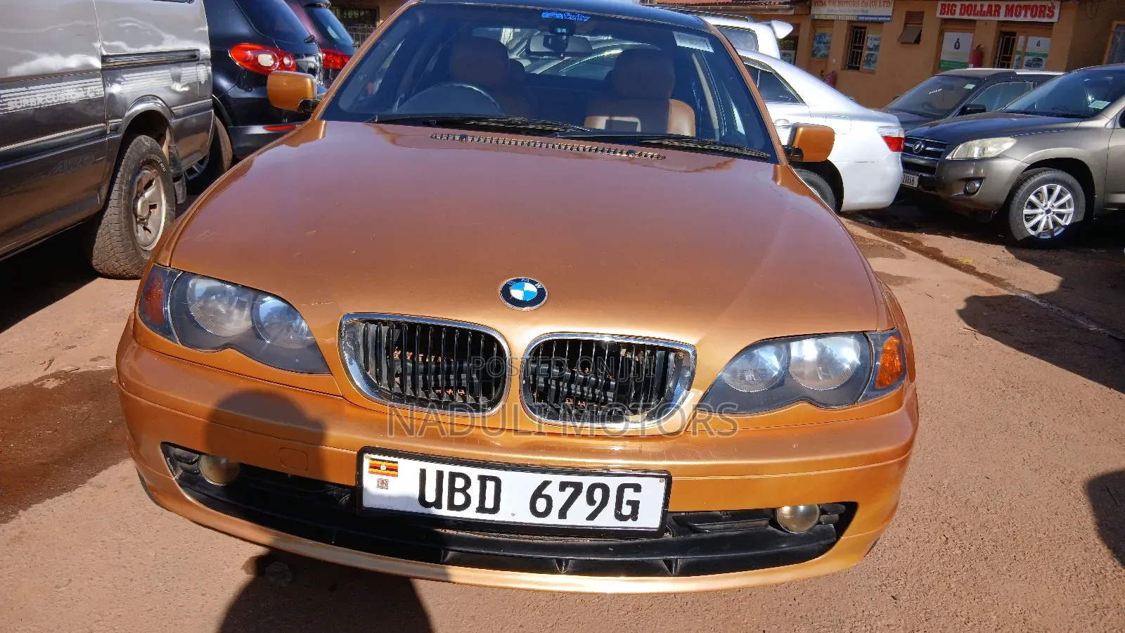 BMW 318i 2006 Gold