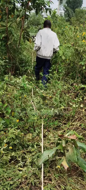 Two Acres of Land for Sale, Ready Title