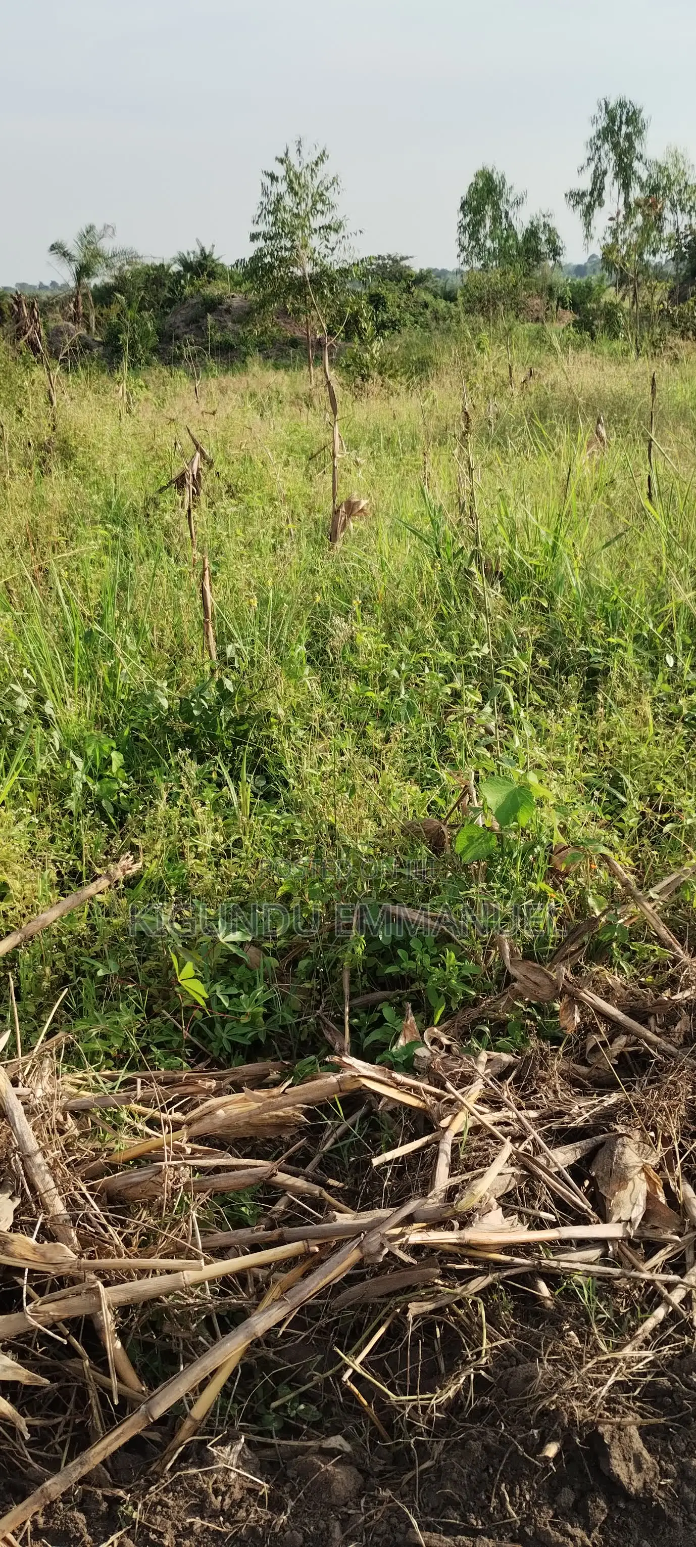 Two Acres of Land for Sale, Ready Title