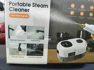 Portable Steam Cleaner
