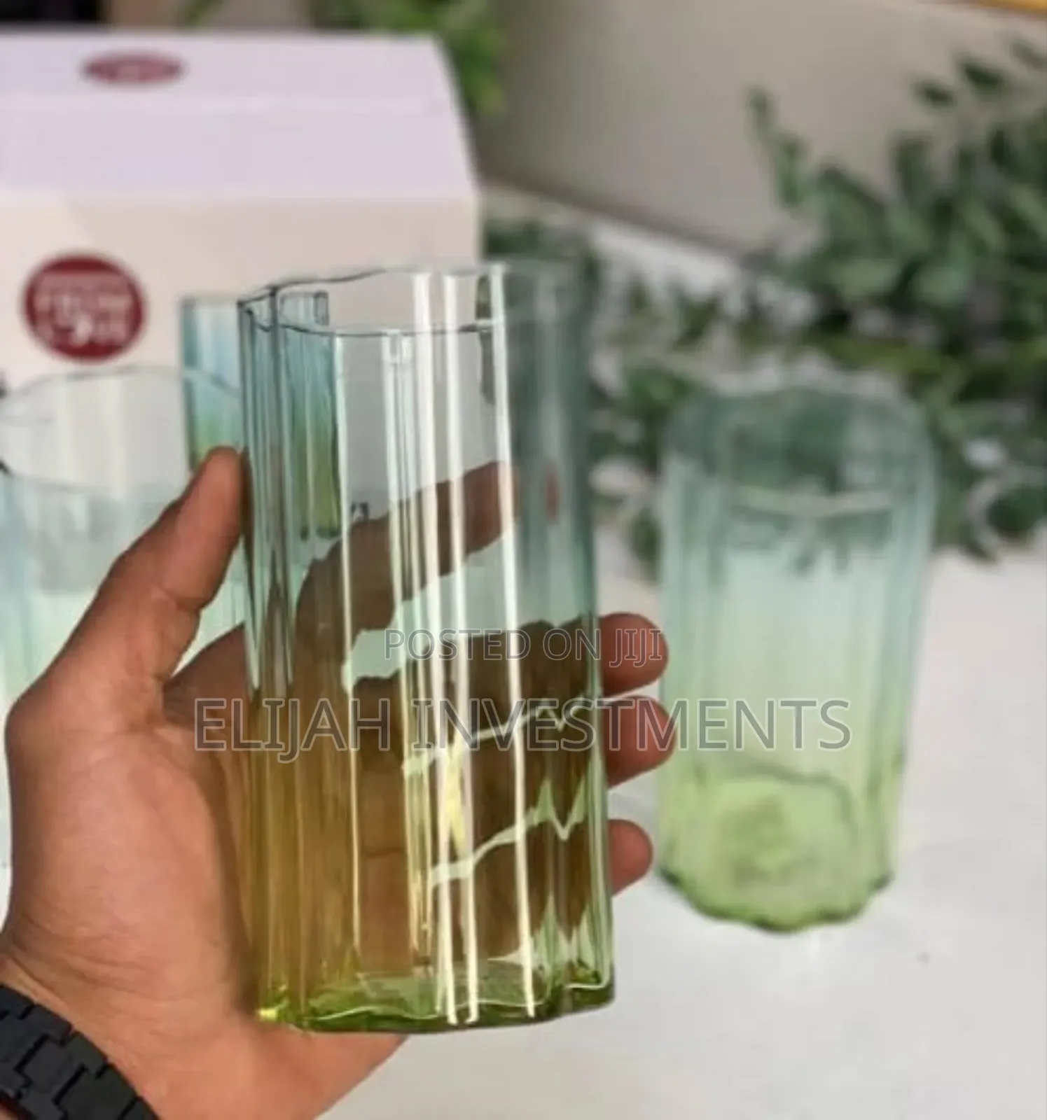 6pcs Deli Glass Blooming Series Water Glasses.