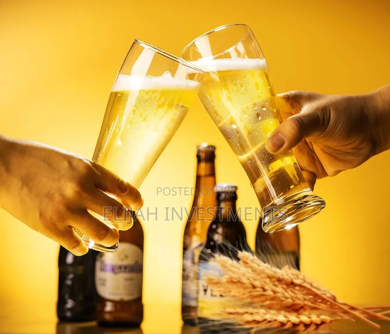 6pcs Pilsner Beer Glasses