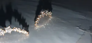 Shiny Gold Colored Earrings and Silver Colored Too