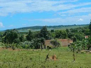 2 Acres in Ziba Mabamba on Nakawuka Kasanje Road Near Updf Marines