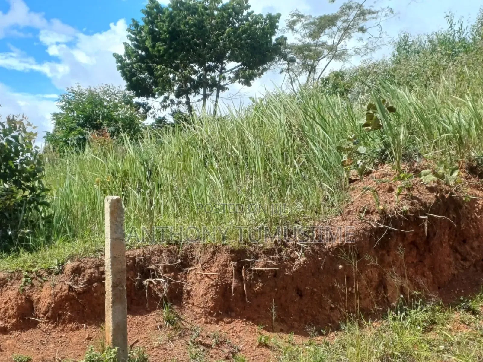 2 Acres in Ziba Mabamba on Nakawuka Kasanje Road Near Updf Marines