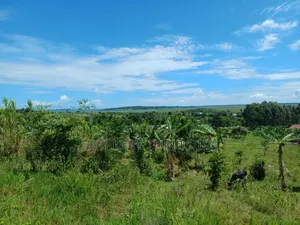 2 Acres in Ziba Mabamba on Nakawuka Kasanje Road Near Updf Marines
