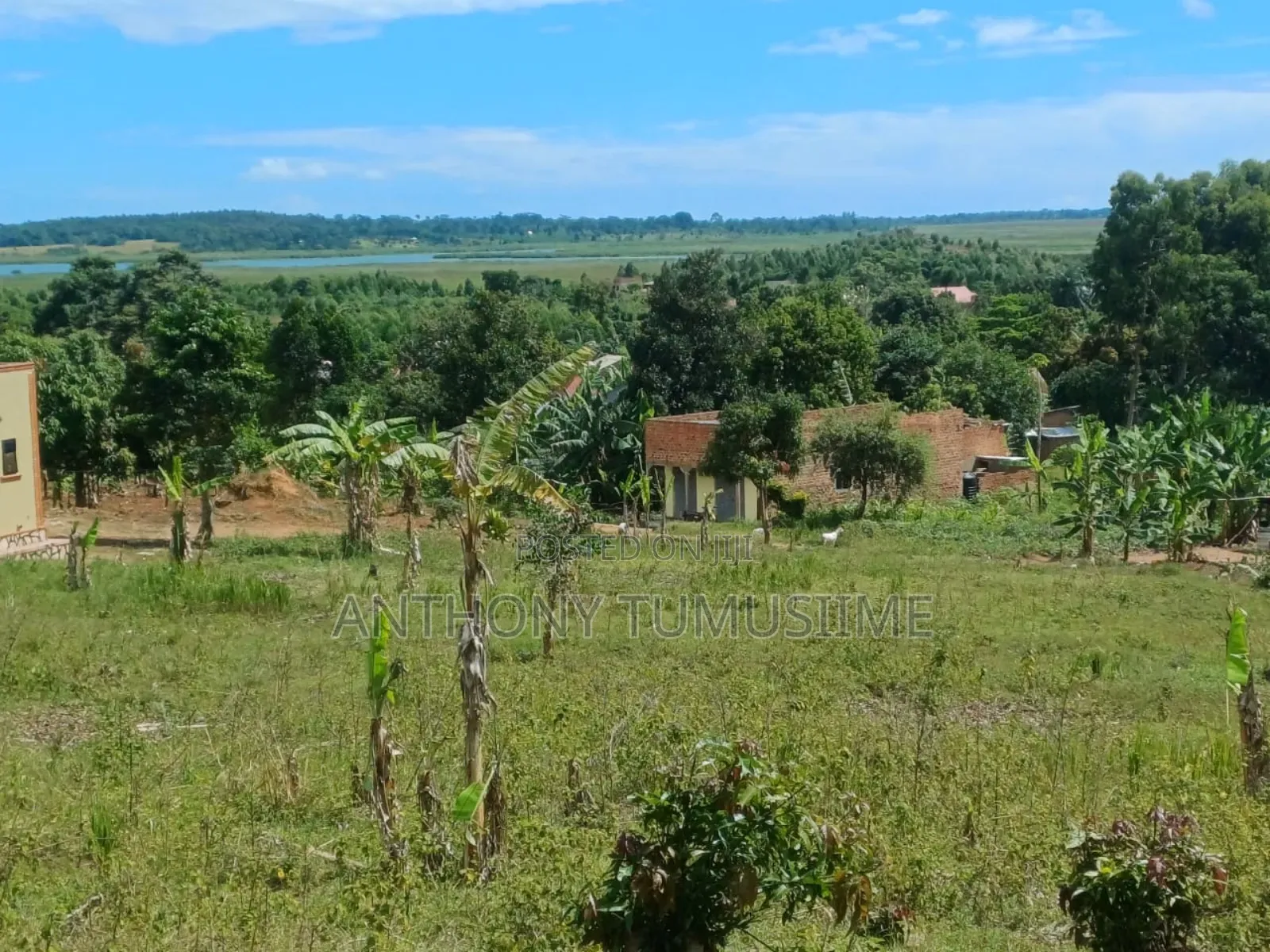 2 Acres in Ziba Mabamba on Nakawuka Kasanje Road Near Updf Marines