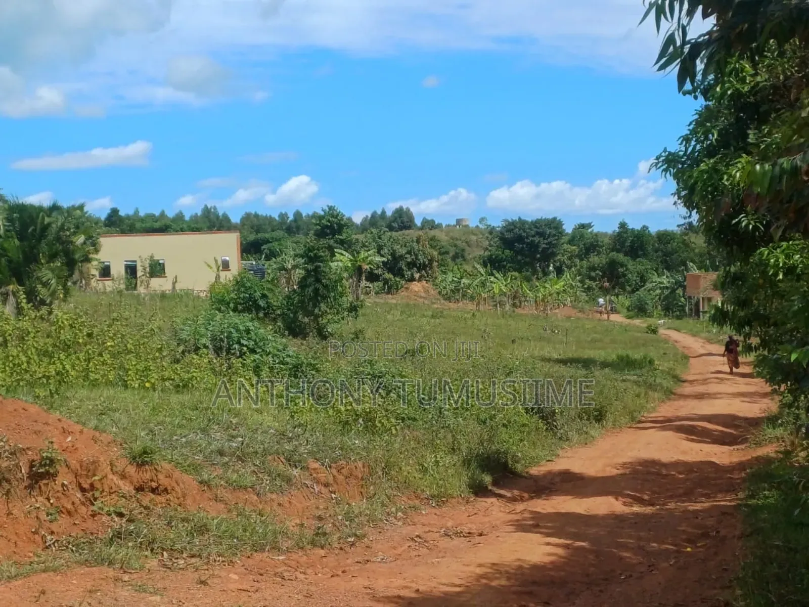 2 Acres in Ziba Mabamba on Nakawuka Kasanje Road Near Updf Marines