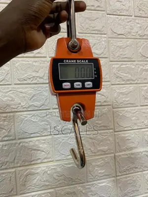 Crane Scale Weighing 300kg Digital Weighing Portable Crane Scale