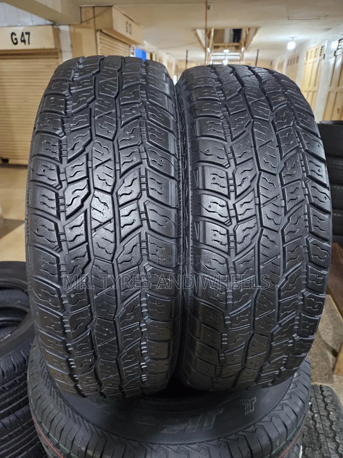 205 70 R15 Travia at Duraturn Design for 11# Tire Stud