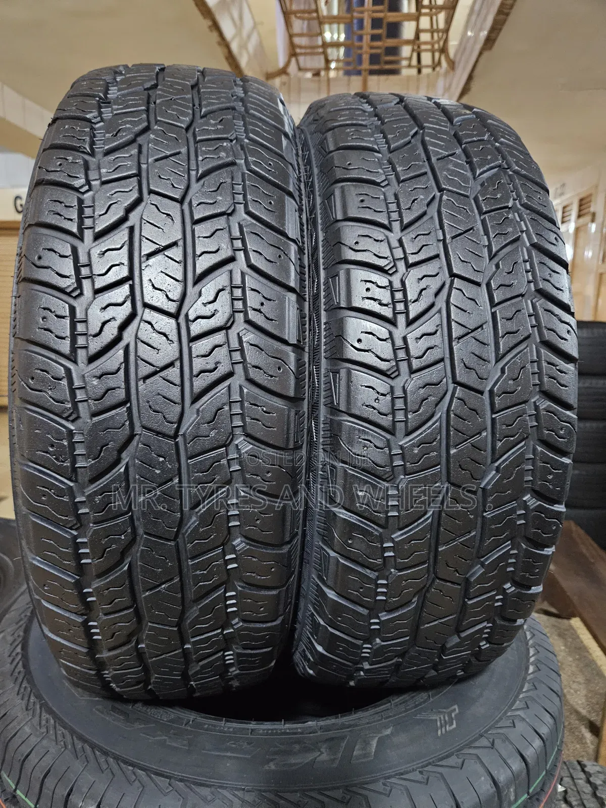 205 70 R15 Travia at Duraturn Design for 11# Tire Stud
