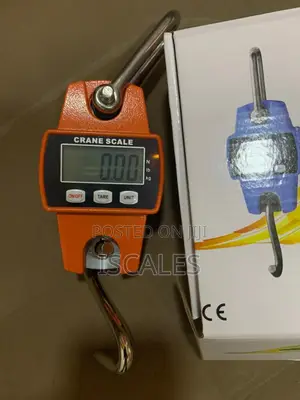 Electronic Crane Weighing Scale 300kg Weighing Crane Scale