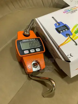 Digital Weighing Crane Scale 300kg Hanging Crane Scale