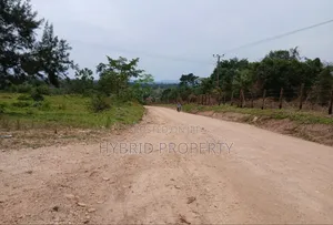 62acres of Fertile Land for Sale at Mikka~Busunju Along Hoima Road.