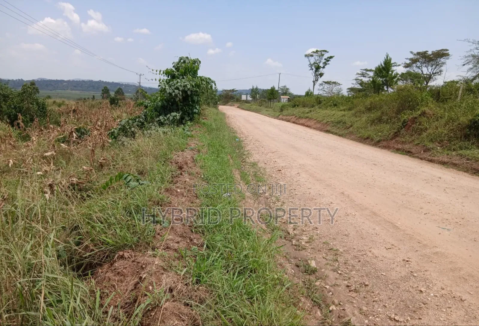 62acres of Fertile Land for Sale at Mikka~Busunju Along Hoima Road.