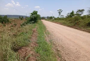 62acres of Fertile Land for Sale at Mikka~Busunju Along Hoima Road.