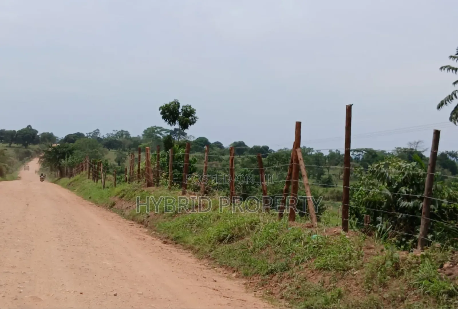 62acres of Fertile Land for Sale at Mikka~Busunju Along Hoima Road.