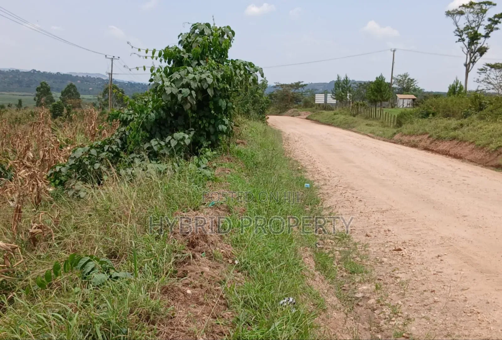62acres of Fertile Land for Sale at Mikka~Busunju Along Hoima Road.