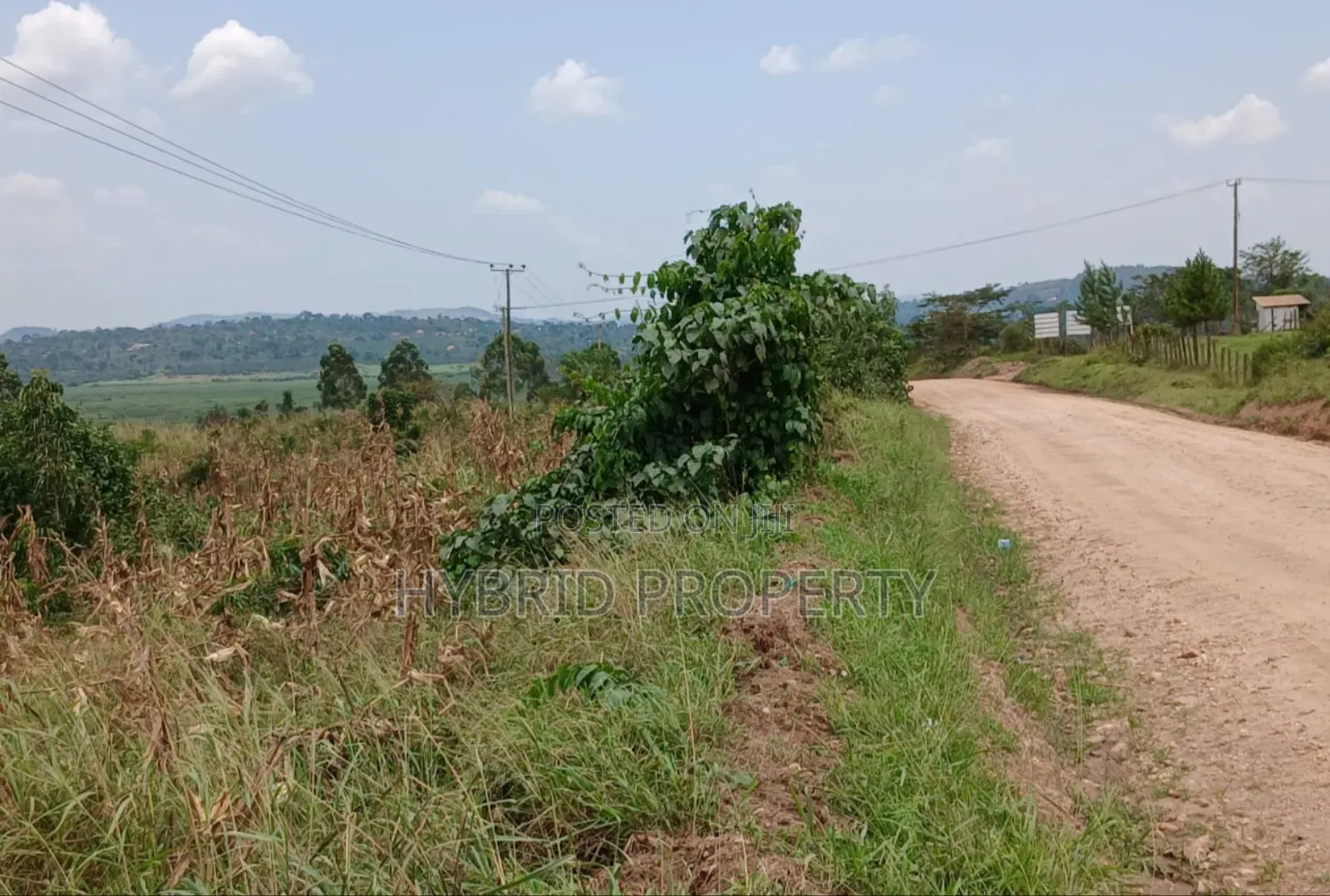 62acres of Fertile Land for Sale at Mikka~Busunju Along Hoima Road.