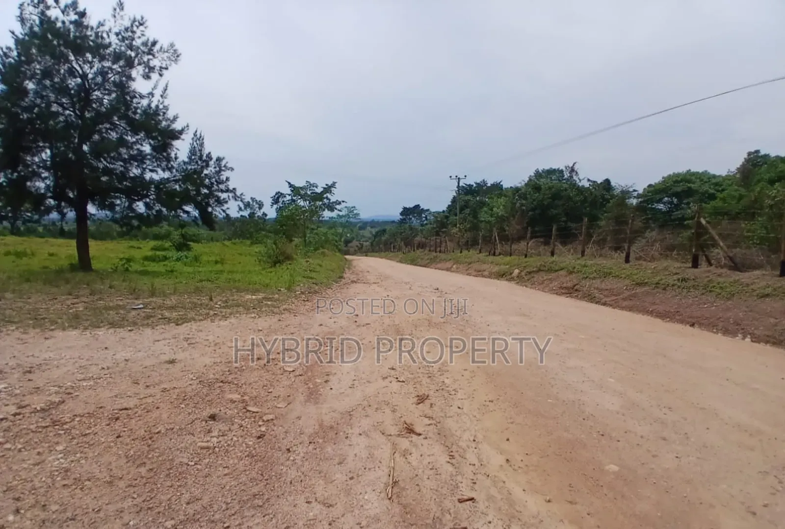 62acres of Fertile Land for Sale at Mikka~Busunju Along Hoima Road.