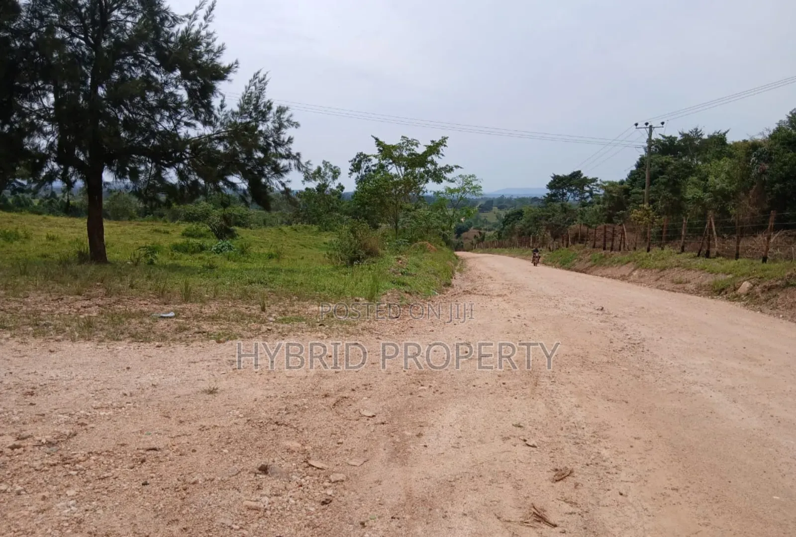 62acres of Fertile Land for Sale at Mikka~Busunju Along Hoima Road.