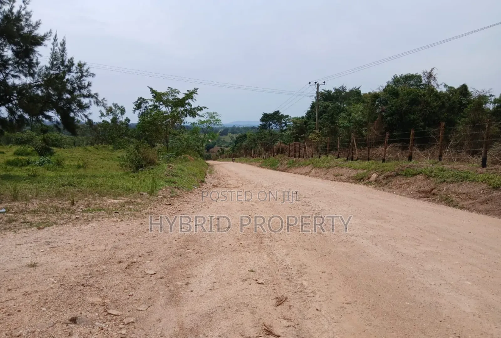 62acres of Fertile Land for Sale at Mikka~Busunju Along Hoima Road.