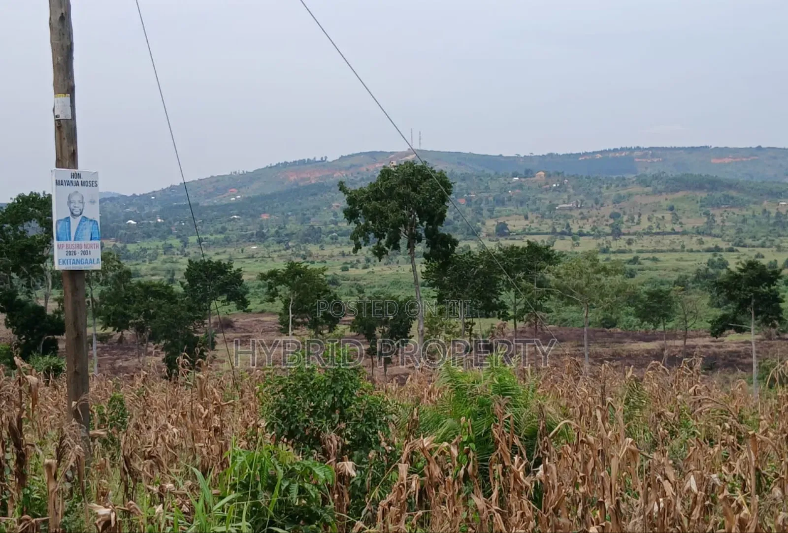 62acres of Fertile Land for Sale at Mikka~Busunju Along Hoima Road.