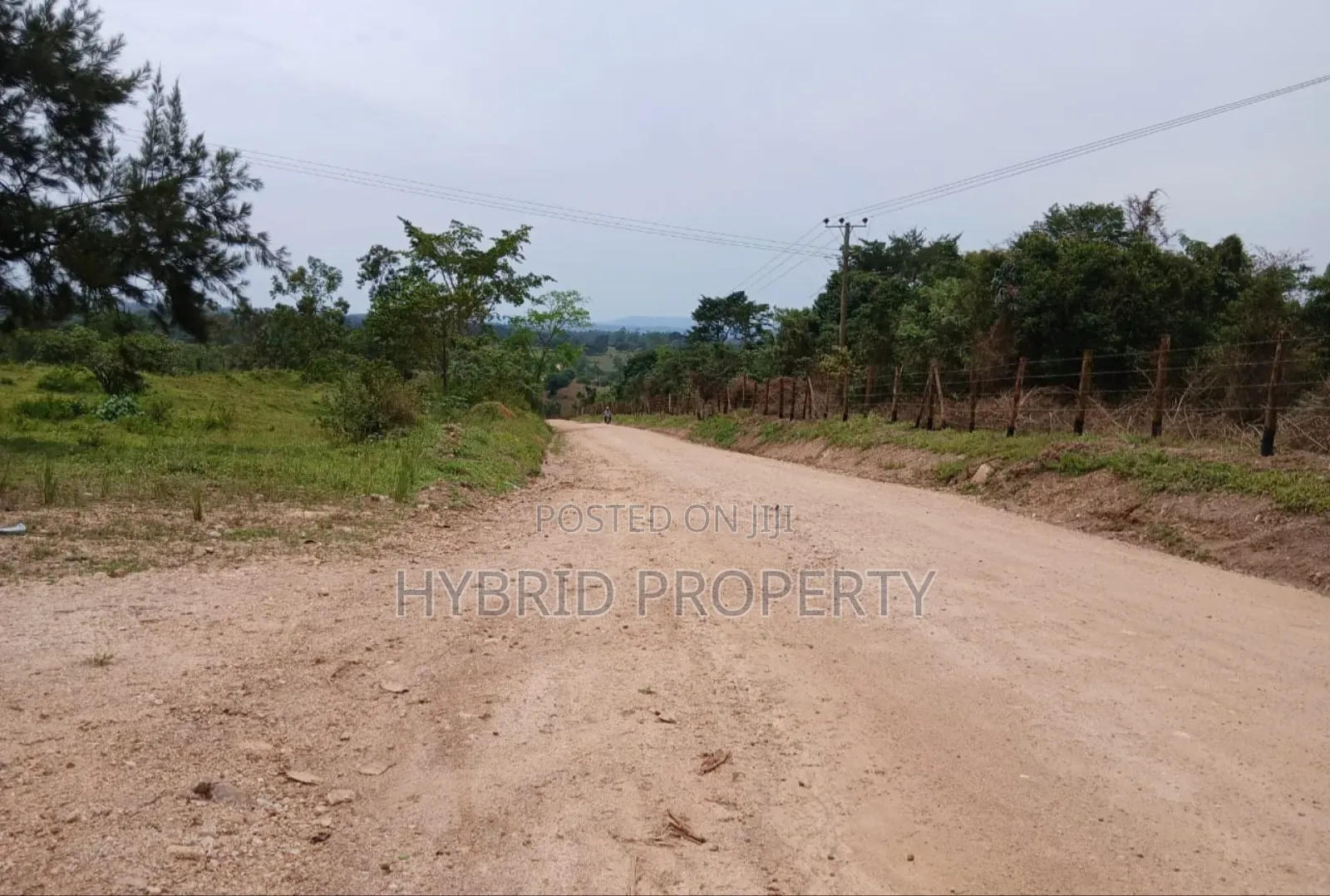 62acres of Fertile Land for Sale at Mikka~Busunju Along Hoima Road.