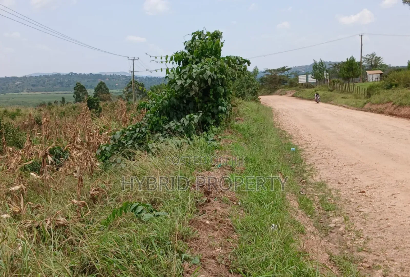 62acres of Fertile Land for Sale at Mikka~Busunju Along Hoima Road.