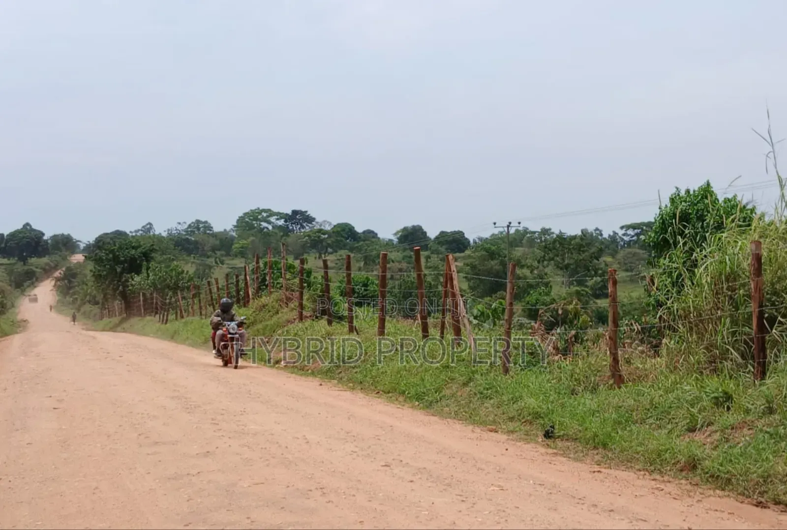 62acres of Fertile Land for Sale at Mikka~Busunju Along Hoima Road.
