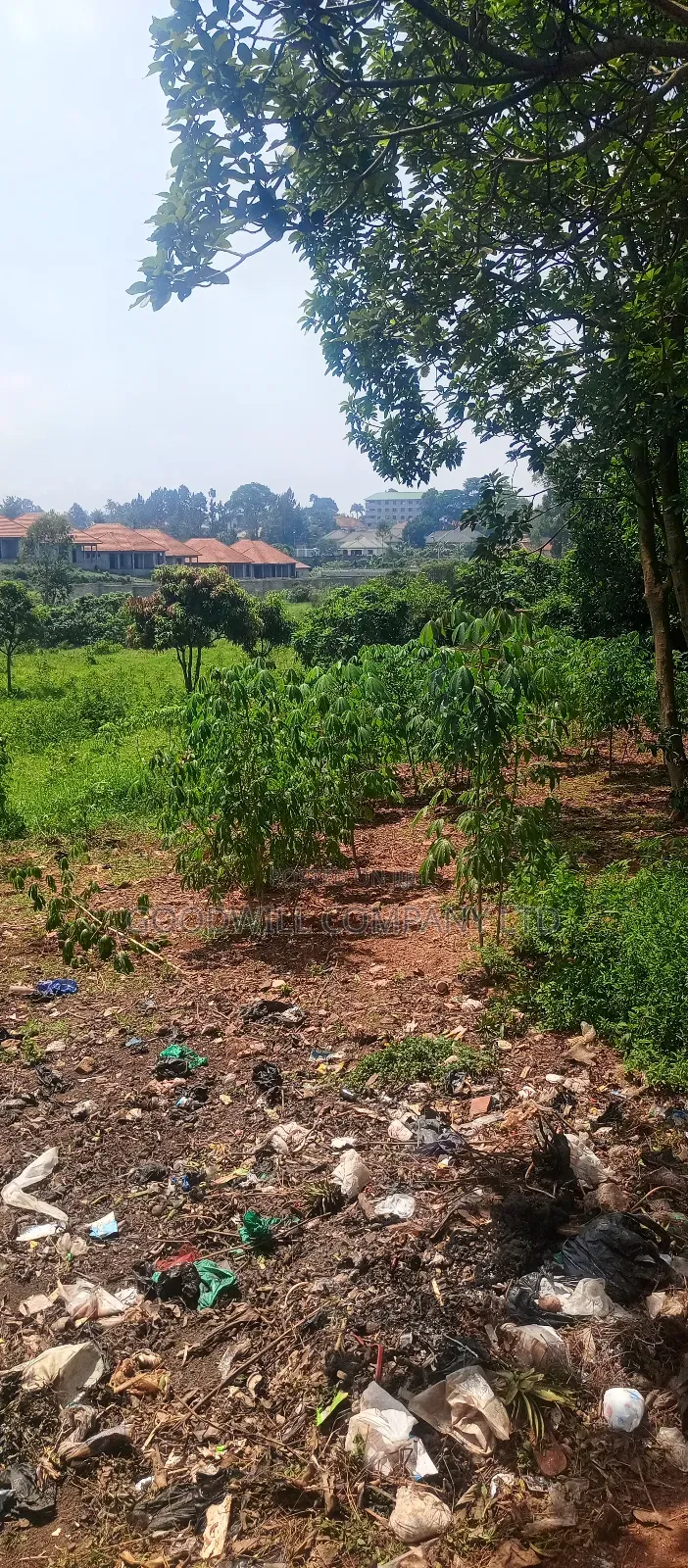 1 Acre of Land in Jinja Misindye After Namugongo