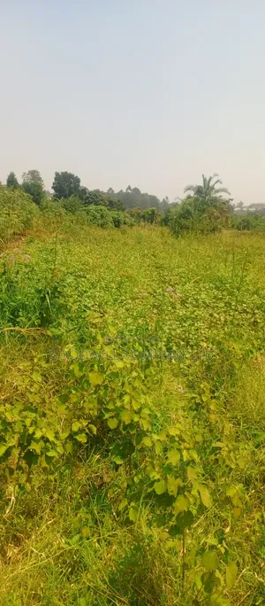 1 Acre of Land in Jinja Misindye After Namugongo
